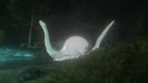 Spirit-caller Snail